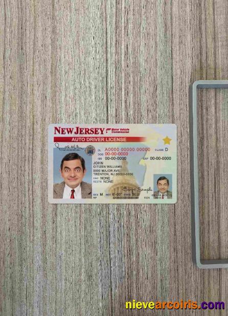 USA New Jersey driving license photolook